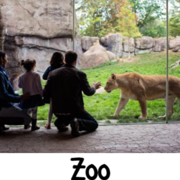 zoo