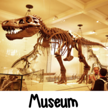 museum